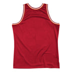 Men's Miami Heat Mitchell & Ness Red Hardwood Classics Blown Out Fashion Jersey