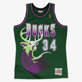 Milwaukee Bucks Swingman Jersey Alternate Ray Allen 1996 97 | RTJ13072