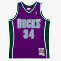 Milwaukee Bucks Swingman Jersey Ray Allen 2001 02 | Stitched Jersey RTJS 11971