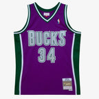Milwaukee Bucks Swingman Jersey Ray Allen 2001 02 | Stitched Jersey RTJS 11971