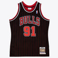 Chicago Bulls Jersey Dennis Rodman 1995 96 | Stitched Jersey RTJS 11920